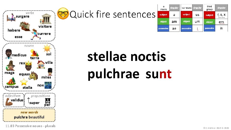 Quick fire sentences verbs surgere visitare habere currere esse nouns medicus terra rex maga