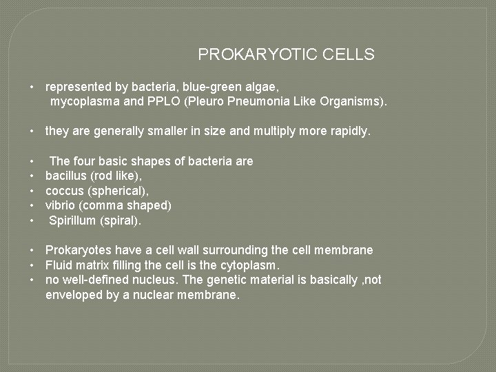 PROKARYOTIC CELLS • represented by bacteria, blue-green algae, mycoplasma and PPLO (Pleuro Pneumonia Like