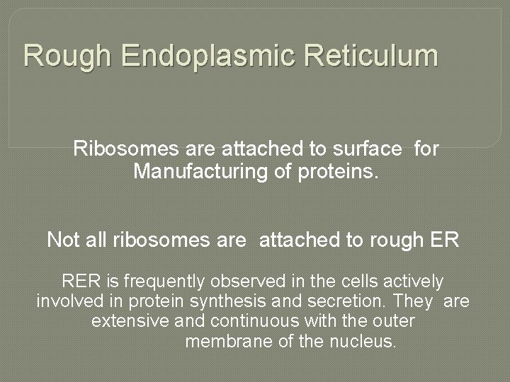 Rough Endoplasmic Reticulum Ribosomes are attached to surface for Manufacturing of proteins. Not all