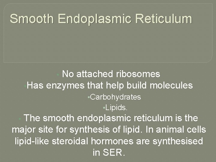 Smooth Endoplasmic Reticulum No attached ribosomes • Has enzymes that help build molecules •