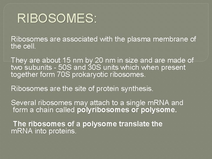 RIBOSOMES: Ribosomes are associated with the plasma membrane of the cell. They are about