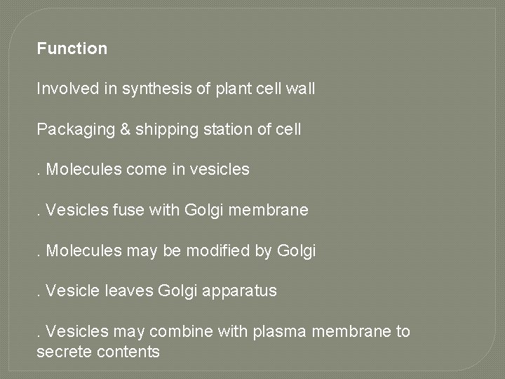 Function Involved in synthesis of plant cell wall Packaging & shipping station of cell.