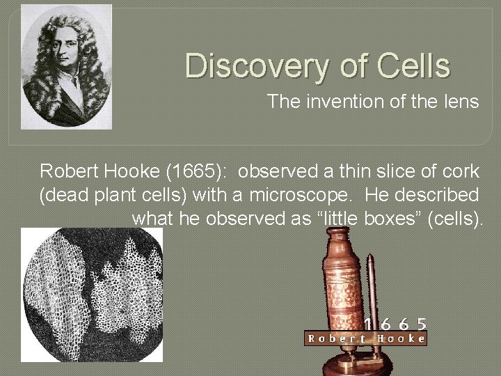 Discovery of Cells The invention of the lens Robert Hooke (1665): observed a thin