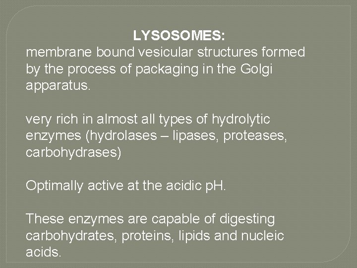 LYSOSOMES: membrane bound vesicular structures formed by the process of packaging in the Golgi