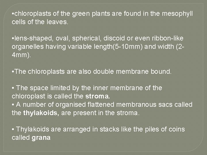  • chloroplasts of the green plants are found in the mesophyll cells of