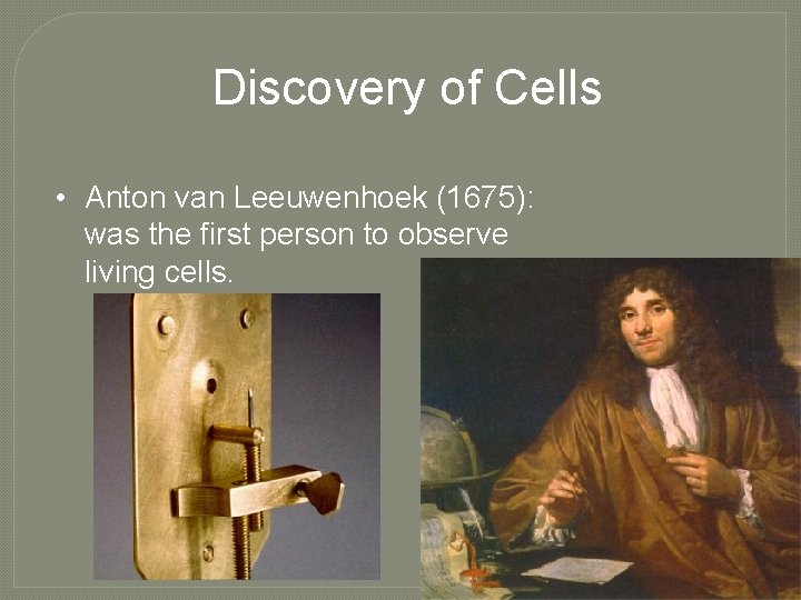 Discovery of Cells • Anton van Leeuwenhoek (1675): was the first person to observe