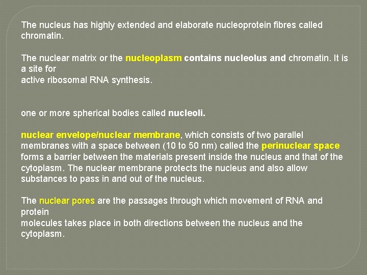 The nucleus has highly extended and elaborate nucleoprotein fibres called chromatin. The nuclear matrix