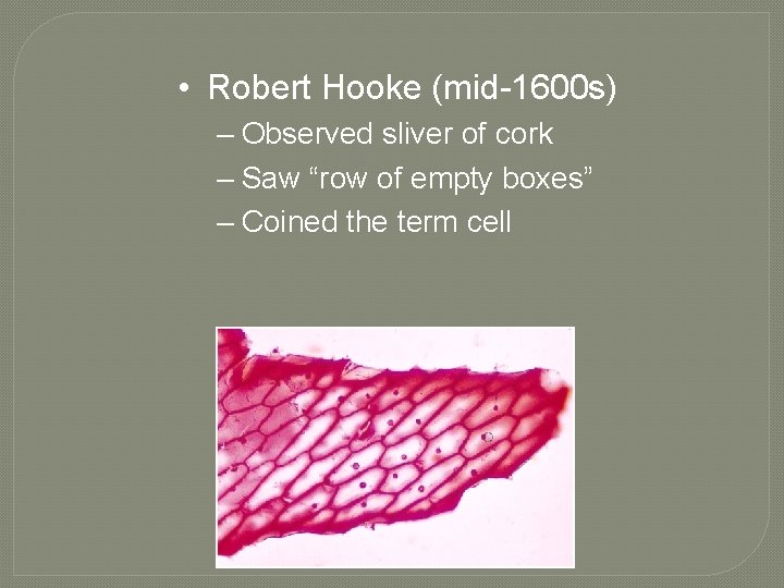  • Robert Hooke (mid-1600 s) – Observed sliver of cork – Saw “row