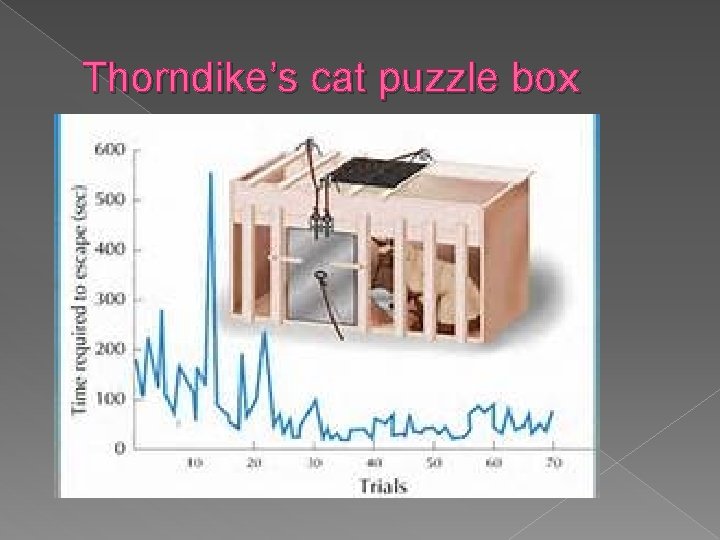 Thorndike’s cat puzzle box 