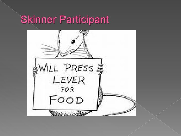 Skinner Participant 