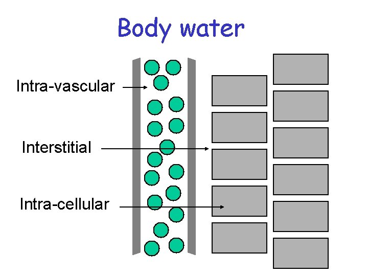 Body water Intra-vascular Interstitial Intra-cellular Body water Intra-vascular Interstitial Intra-cellular