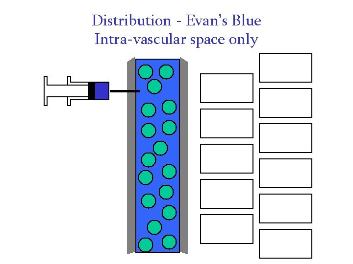 Distribution - Evan’s Blue Intra-vascular space only Distribution - Evan’s Blue Intra-vascular space only