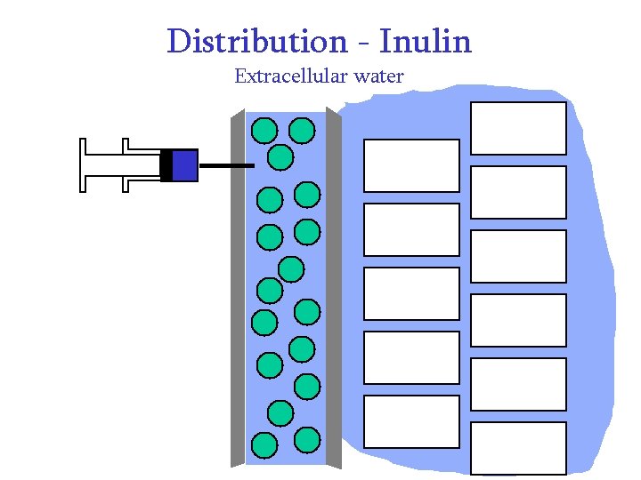 Distribution - Inulin Extracellular water Distribution - Inulin Extracellular water