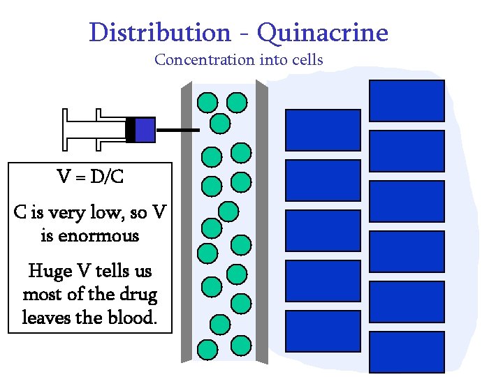 Distribution - Quinacrine Concentration into cells V = D/C C is very low, so Distribution - Quinacrine Concentration into cells V = D/C C is very low, so