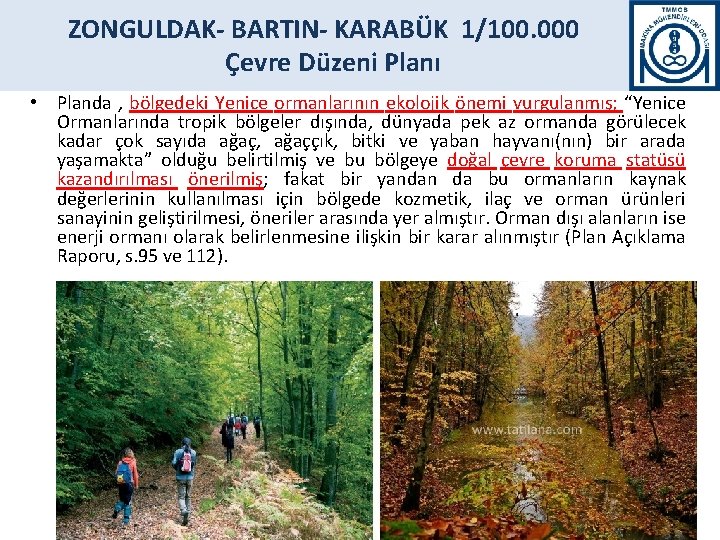 ZONGULDAK- BARTIN- KARABÜK 1/100. 000 Çevre Düzeni Planı • Planda , bölgedeki Yenice ormanlarının