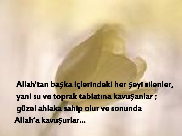 Allah'tan başka içlerindeki her şeyi silenler, yani su ve toprak tabiatına kavuşanlar ; güzel