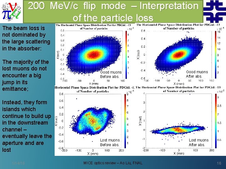 200 Me. V/c flip mode – Interpretation of the particle loss The beam loss