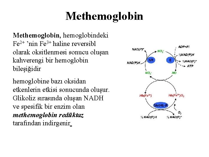 Methemoglobin, hemoglobindeki Fe 2+ ’nin Fe 3+ haline reversibl olarak oksitlenmesi sonucu oluşan kahverengi