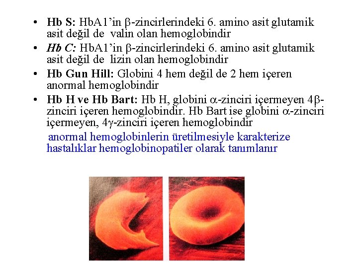  • Hb S: Hb. A 1’in -zincirlerindeki 6. amino asit glutamik asit değil