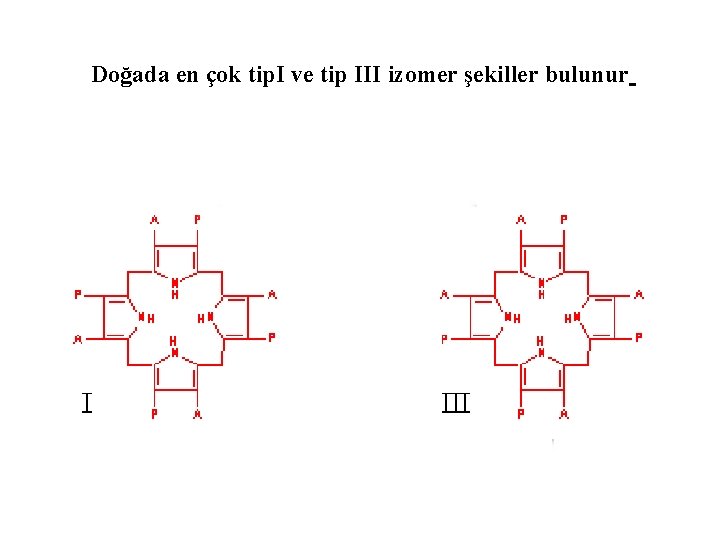 Doğada en çok tip. I ve tip III izomer şekiller bulunur 