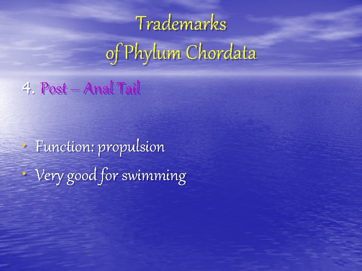 Trademarks of Phylum Chordata 4. Post – Anal Tail • Function: propulsion • Very