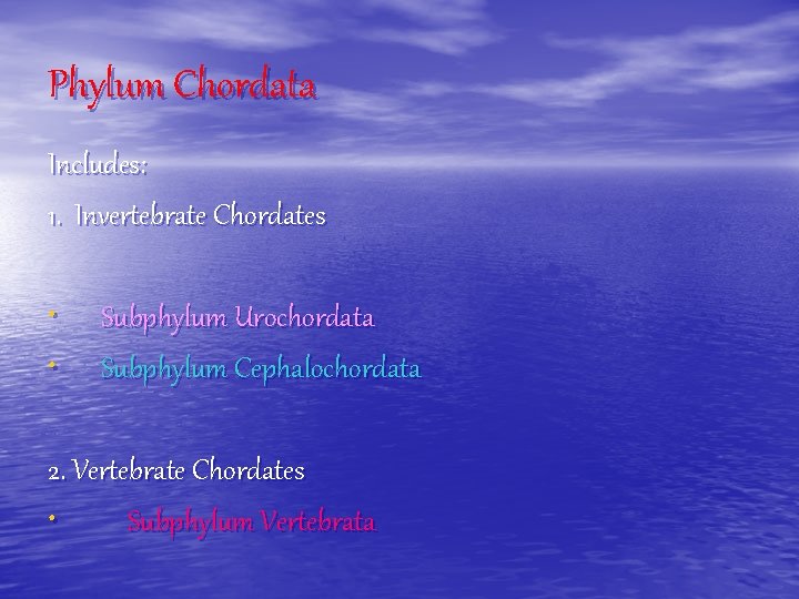 Phylum Chordata Includes: 1. Invertebrate Chordates • Subphylum Urochordata • Subphylum Cephalochordata 2. Vertebrate
