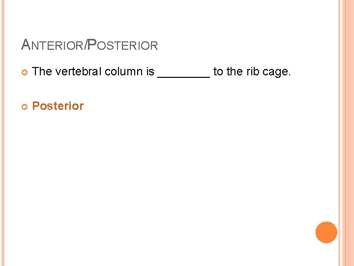 ANTERIOR/POSTERIOR The vertebral column is ____ to the rib cage. Posterior 