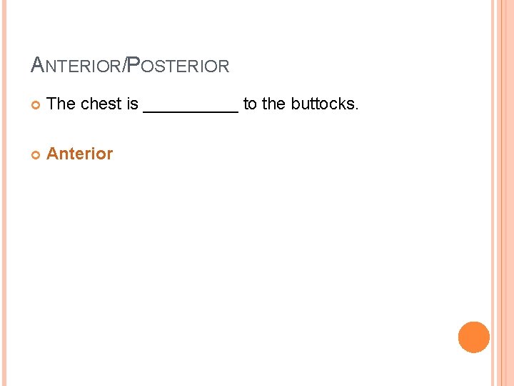 ANTERIOR/POSTERIOR The chest is _____ to the buttocks. Anterior 