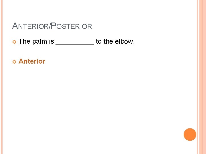 ANTERIOR/POSTERIOR The palm is _____ to the elbow. Anterior 