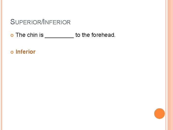 SUPERIOR/INFERIOR The chin is _____ to the forehead. Inferior 