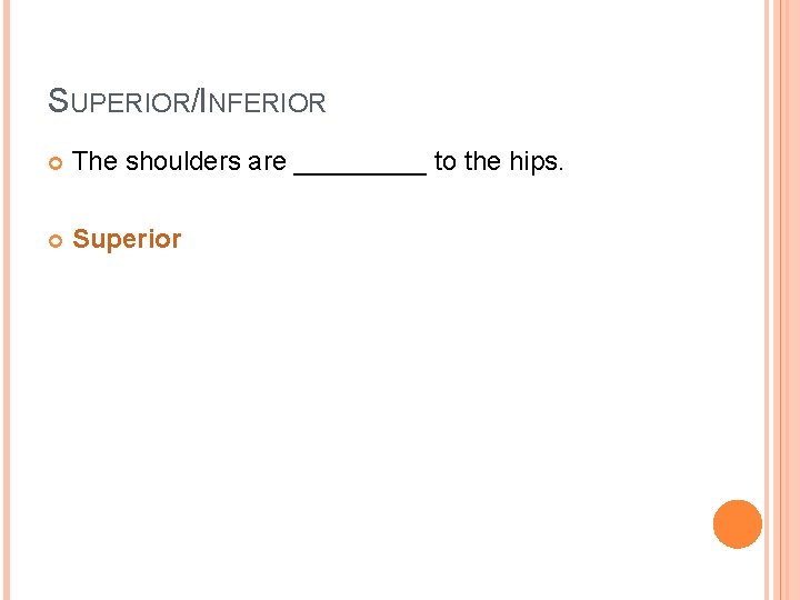 SUPERIOR/INFERIOR The shoulders are _____ to the hips. Superior 
