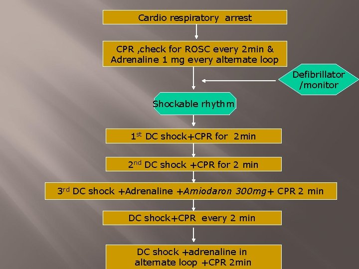 Cardio respiratory arrest CPR , check for ROSC every 2 min & Adrenaline 1