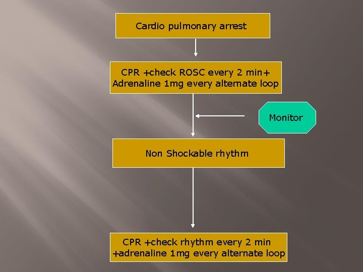 Cardio pulmonary arrest CPR +check ROSC every 2 min+ Adrenaline 1 mg every alternate