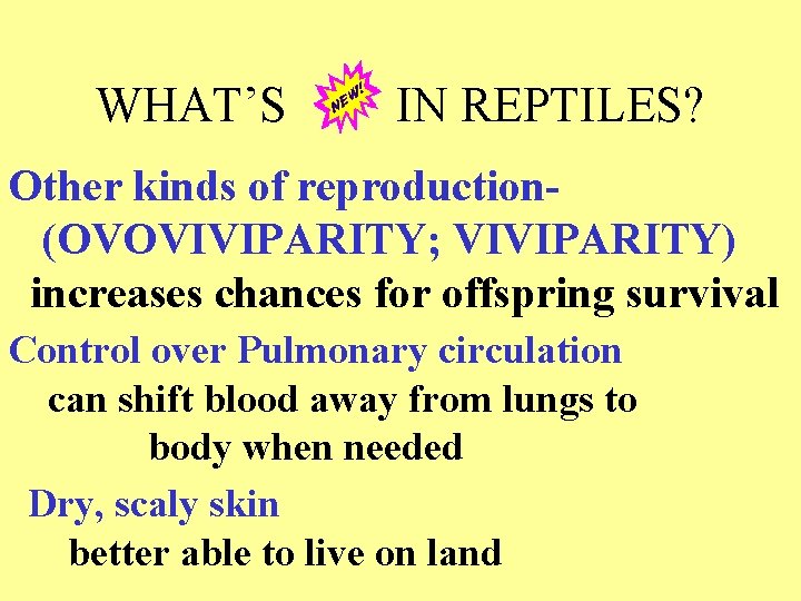 WHAT’S IN REPTILES? Other kinds of reproduction(OVOVIVIPARITY; VIVIPARITY) increases chances for offspring survival Control