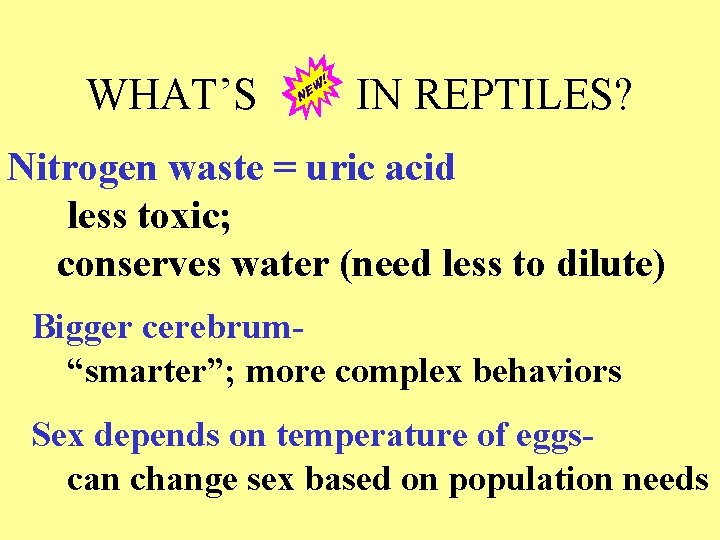 WHAT’S IN REPTILES? Nitrogen waste = uric acid less toxic; conserves water (need less