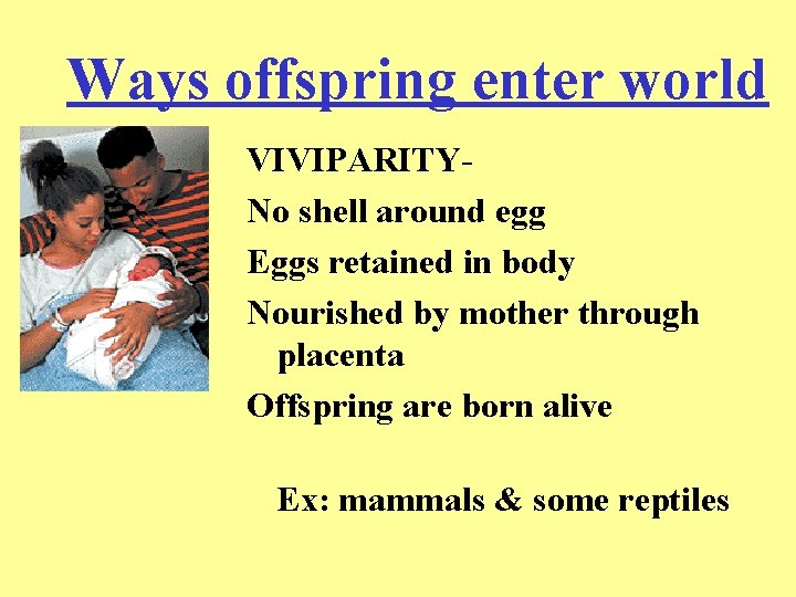 Ways offspring enter world VIVIPARITYNo shell around egg Eggs retained in body Nourished by