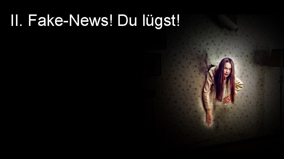 II. Fake-News! Du lügst! 