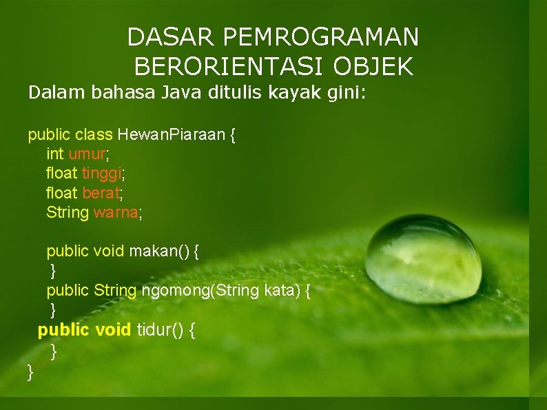 DASAR PEMROGRAMAN BERORIENTASI OBJEK Dalam bahasa Java ditulis kayak gini: public class Hewan. Piaraan