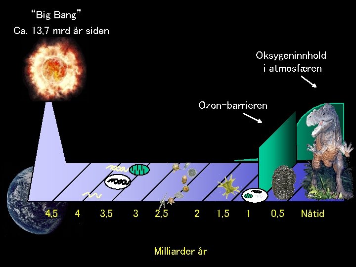 “Big Bang” Ca. 13, 7 mrd år siden Oksygeninnhold i atmosfæren Ozon-barrieren 4, 5