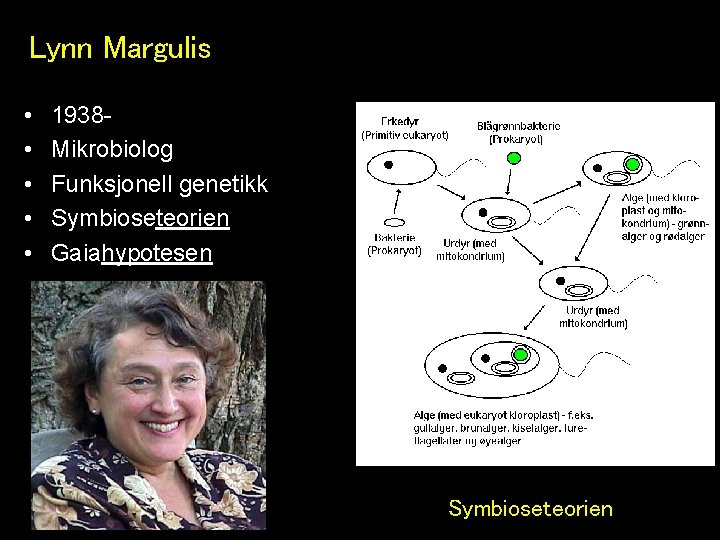 Lynn Margulis • • • 1938 Mikrobiolog Funksjonell genetikk Symbioseteorien Gaiahypotesen Symbioseteorien 