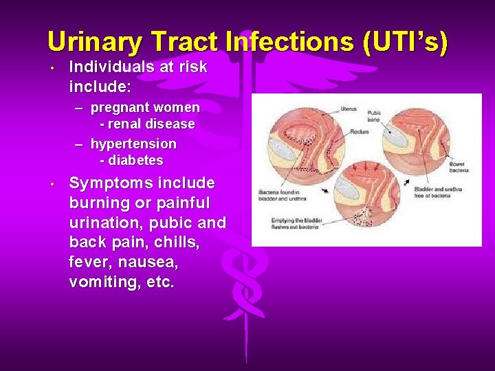 Urinary Tract Infections (UTI’s) • Individuals at risk include: – pregnant women - renal