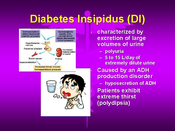 Diabetes Insipidus (DI) • characterized by excretion of large volumes of urine – polyuria