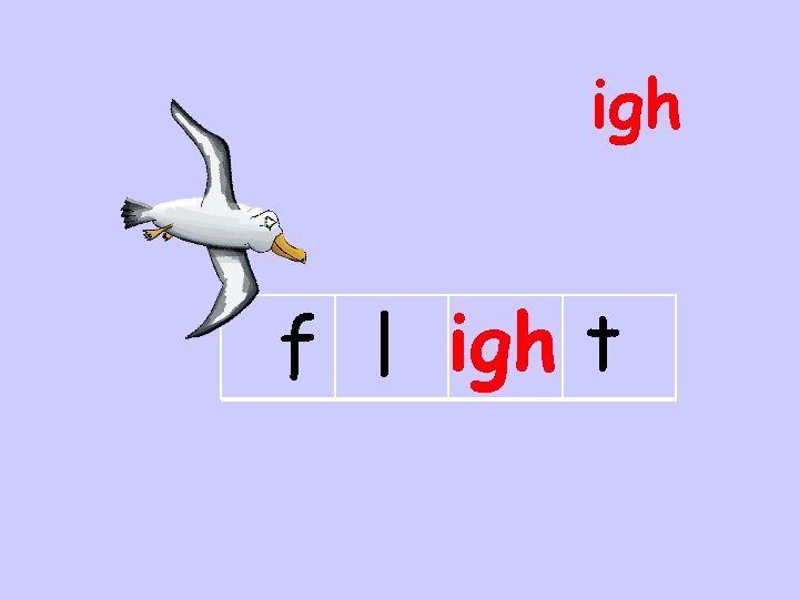 igh f l igh t 