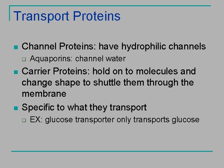 Transport Proteins n Channel Proteins: have hydrophilic channels q n n Aquaporins: channel water