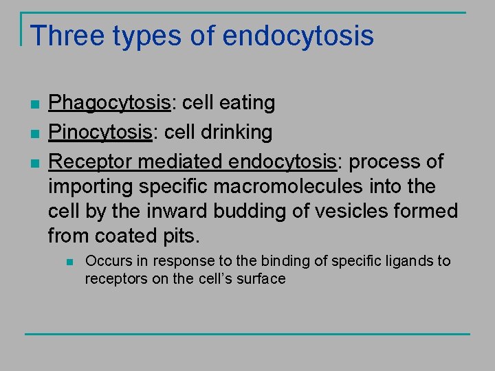 Three types of endocytosis n n n Phagocytosis: cell eating Pinocytosis: cell drinking Receptor