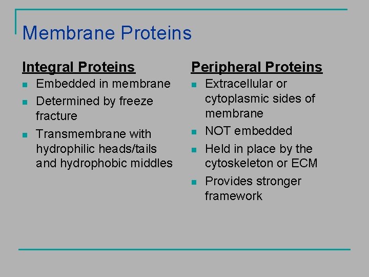 Membrane Proteins Integral Proteins n n n Embedded in membrane Determined by freeze fracture