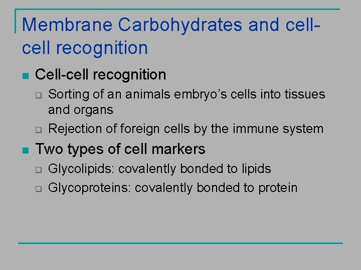Membrane Carbohydrates and cell recognition n Cell-cell recognition q q n Sorting of an