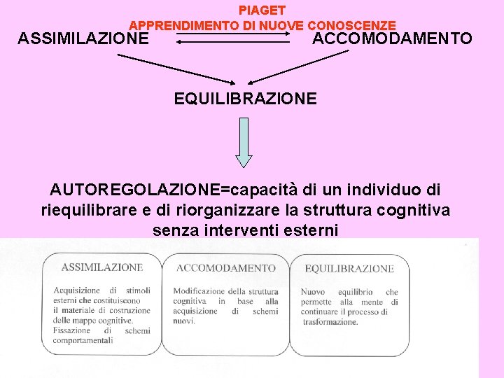 PIAGET APPRENDIMENTO DI NUOVE CONOSCENZE ASSIMILAZIONE ACCOMODAMENTO EQUILIBRAZIONE AUTOREGOLAZIONE=capacità di un individuo di riequilibrare