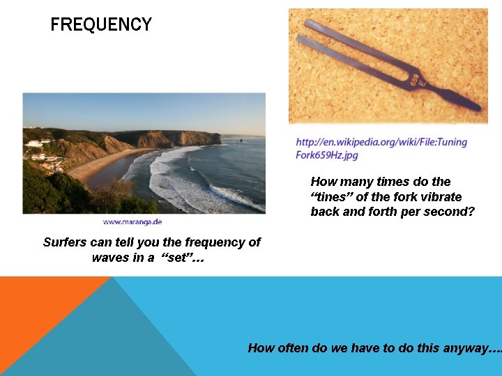 FREQUENCY How many times do the “tines” of the fork vibrate back and forth