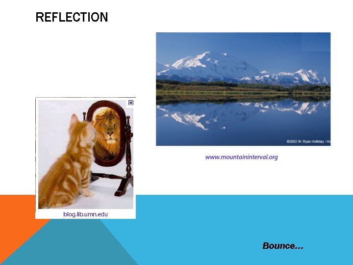 REFLECTION Bounce… 